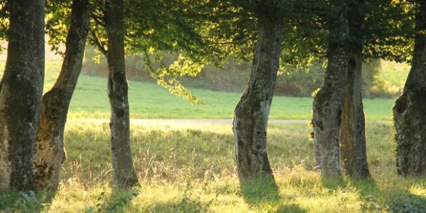 Canal Champagne Bourgogne